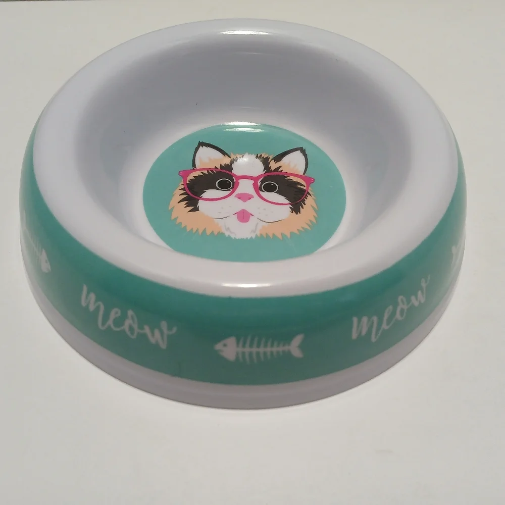 Cat Bowl with Fun Design - White and Teal - Picture 1 of 4